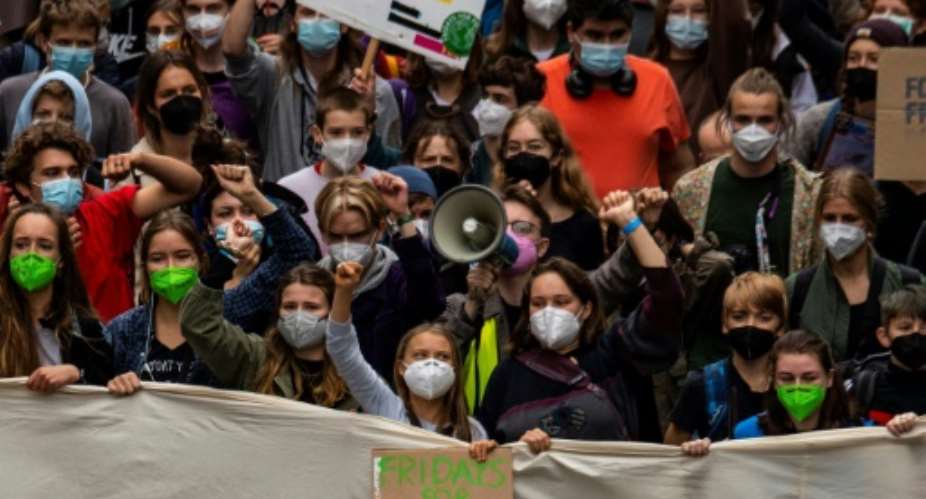 Greta Thunbergs Fridays For Future movement has drawn huge crowds into the streets.  By John MACDOUGALL (AFP)
