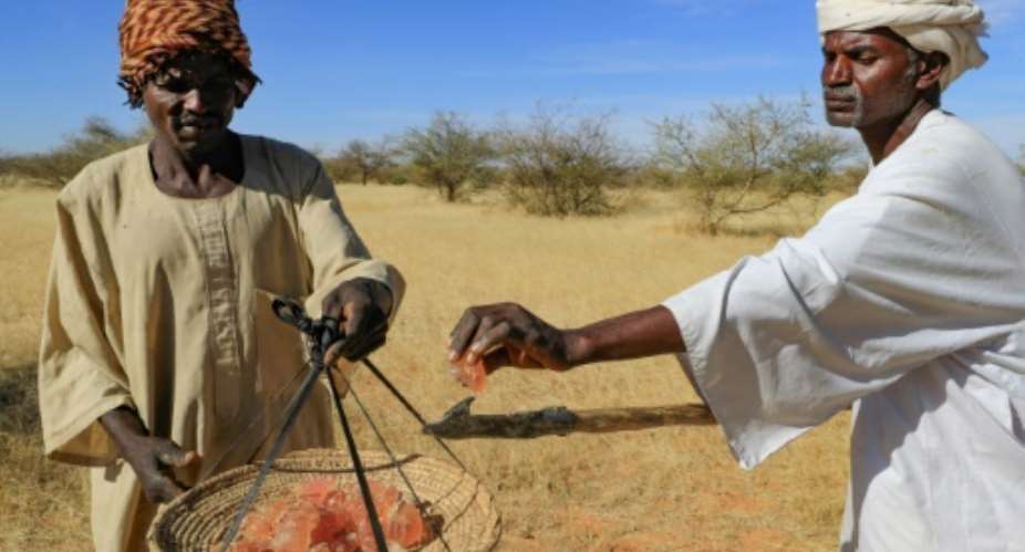 Gum arabic, a resin tapped from the acacia tree, is used in everything from soft drinks to pharmaceuticals but for leading world producer Sudan it is also seen as a key weapon in the fight against desertifcation.  By ASHRAF SHAZLY (AFP)