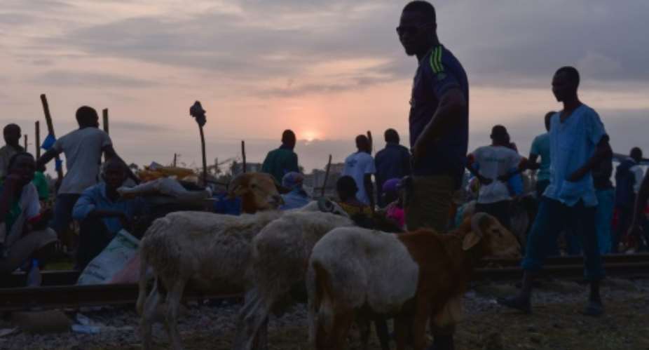 Here's looking at ewe: Hundreds of thousands of sheep are sold each year for the Aid al-Adha sacrifice.  By Sia KAMBOU AFP