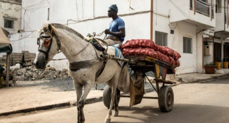 Horses are ubiquitous in Dakar, where carts weave through traffic-clogged streets and squeeze down narrow sandy alleyways.  By JOHN WESSELS AFP