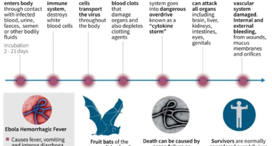 How the Ebola virus attacks.  By  AFP