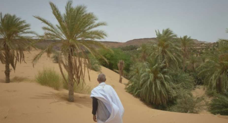 In Azougui, the ever-encroaching sand  is gradually swallowing up the trees.  By Michele Cattani (AFP)