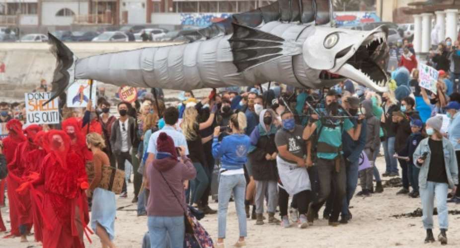 In Cape Town protesters held up the peace symbol and brandished a giant model snoek fish to highlight their concerns.  By RODGER BOSCH AFP