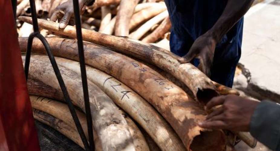 Interpol is seeking the public's help in finding nine suspects, including the alleged leader of an ivory smuggling ring in Kenya.  By Ivan Lieman AFPFile