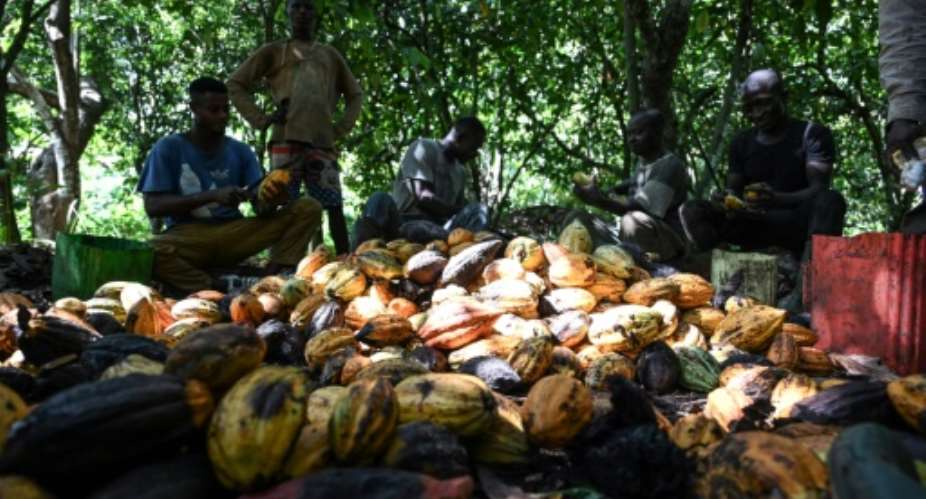 Ivory Coast and Ghana together account for 60 percent of the world's cocoa but their farmers earn less than six percent of the industry's global revenue.  By Sia KAMBOU AFP