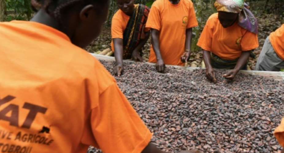 Ivory Coast and Ghana together produce 60 percent of the world's cocoa.  By ISSOUF SANOGO AFP