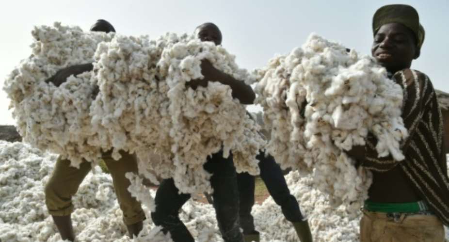 Ivory Coast hopes to become one of the top three African producers of cotton and among the top 10 worldwide.  By Issouf SANOGO AFPFile