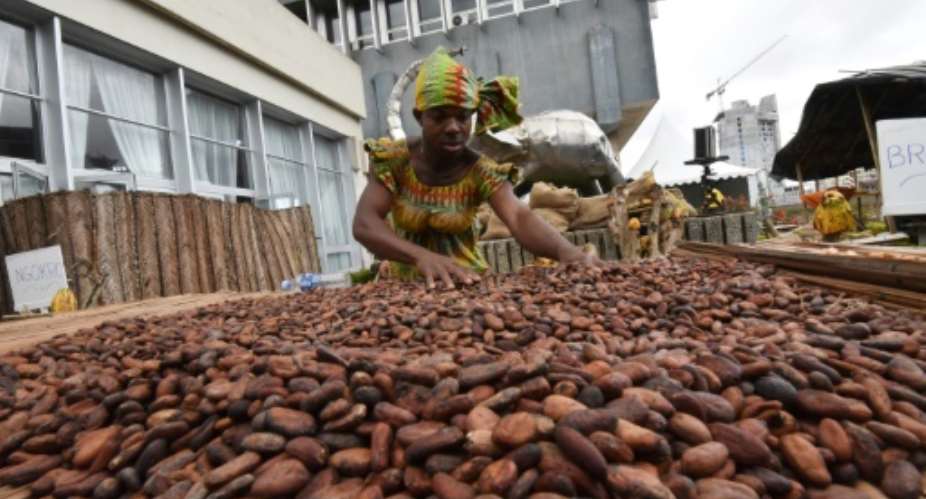 Ivory Coast is the world's top cocoa producer and the industry accounts for 15 percent of its GDP.  By Sia KAMBOU AFP