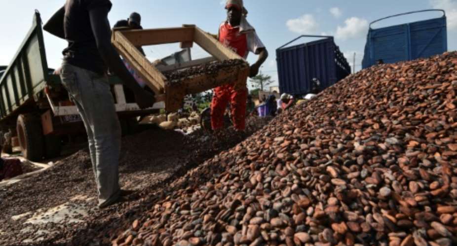 Ivory Coast, the world's top cocoa grower, wants to construct power stations burning cocao waste.  By Sia KAMBOU AFPFile