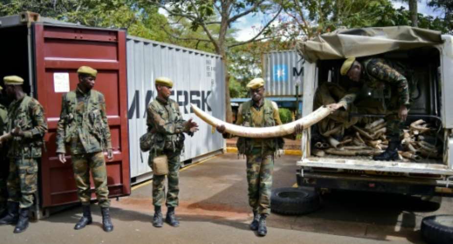 Soldiers move confiscated ivory to secure containers  at the Kenya Wildlife Services KWS headquarters in Nairobi, on April 15, 2016.  By Carl De Souza AFP