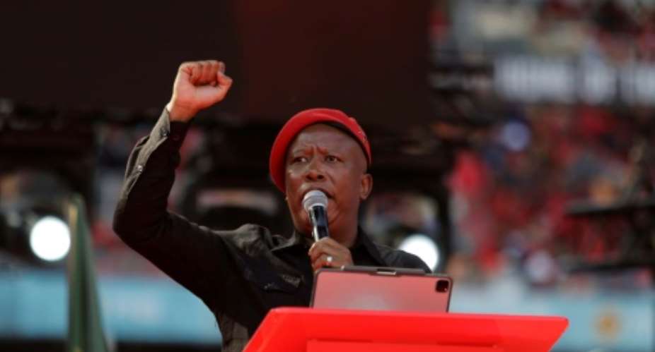 Julius Malema, head of the small opposition Economic Freedom Fighters party, is known for his radical rhetoric.  By Guillem SARTORIO (AFP/File)