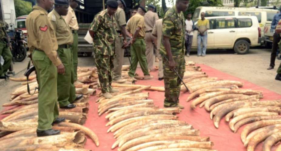 Kenyan police officers look on June 5, 2014 at 302 pieces of ivory, including 228 elephant tusks, found and seized the day before in a warehouse during a raid in the port city of Mombosa.  By  AFPFile