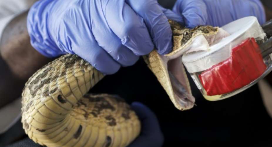 Kenya is short by an estimated 100,000 vials of antivenom per year.  By Tony KARUMBA (AFP)