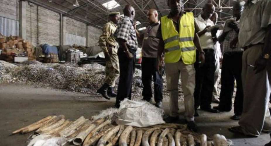 Officers from the Kenya's Revenue Authority and Kenya Wildlife Services stand over elephant tusks.  By  AFPFile