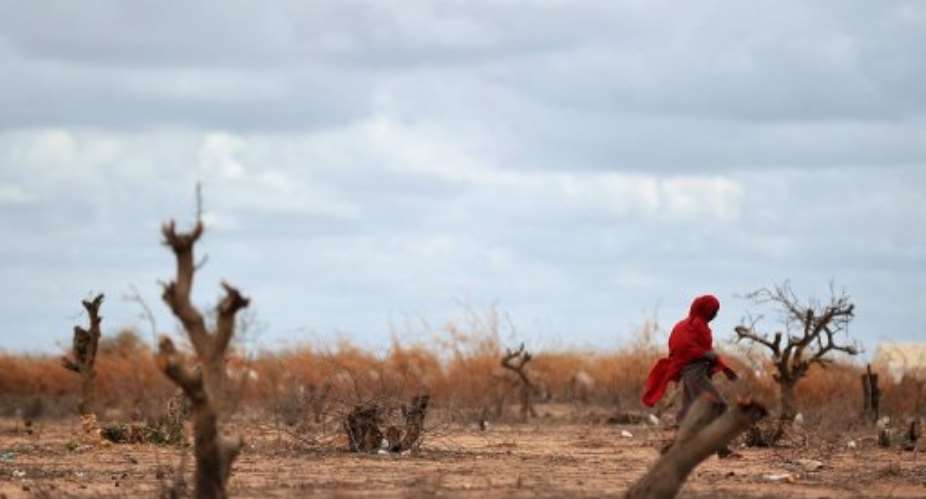 A Somali refugee walks near Liboi on the border town between Somalia and Kenya.  By Tony Karumba (AFP/File)