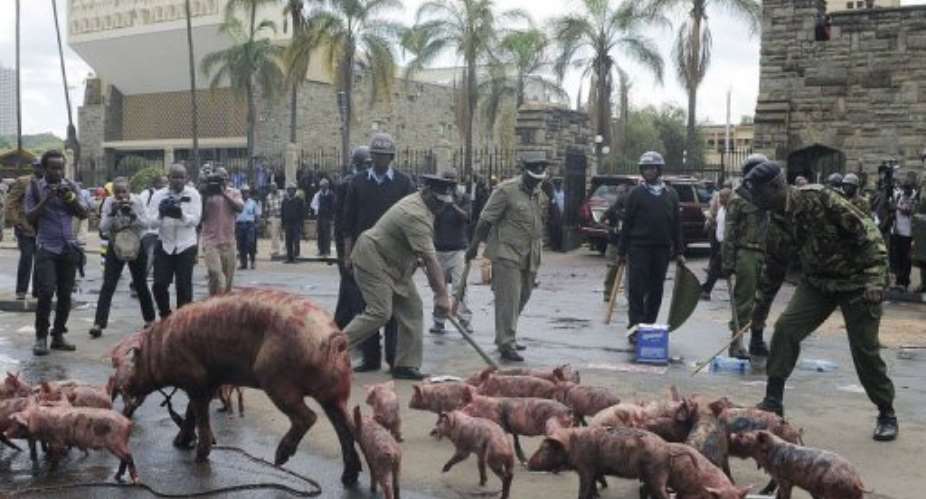 Policemen try to block a sow and its piglets from outside parliament in Nairobi on May 14, 2013.  By Simon Maina AFP