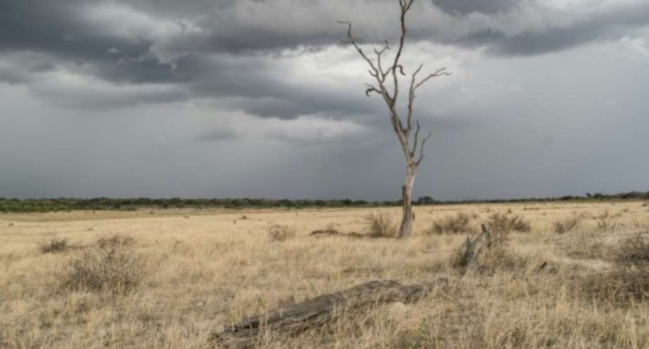 Major growing areas in Malawi, Mozambique, Namibia, Zambia and Zimbabwe received only 80 percent of average rainfall during the mid-November-to-February summer period.  By Zinyange Auntony AFPFile