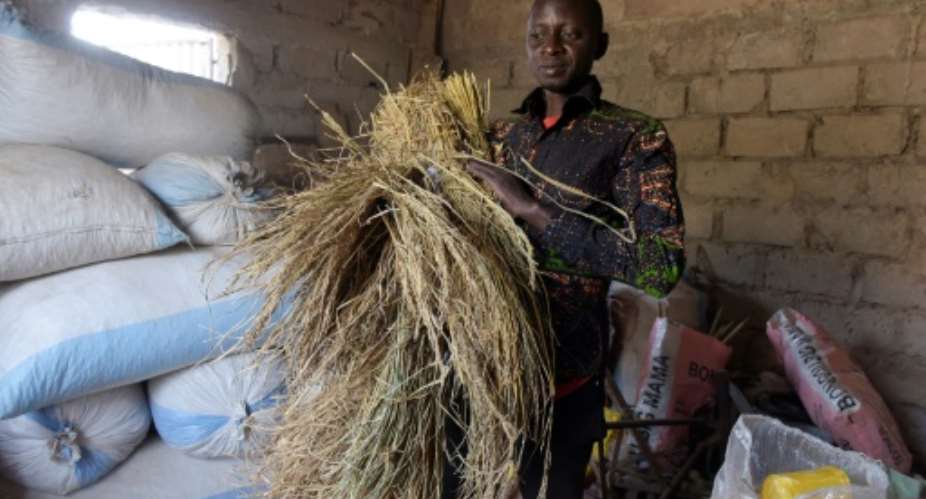 Making hay: Pape Samba Diane spent five years as a migrant worker in Italy -- now back in his native Senegal, he sees money-making potential from farming.  By SEYLLOU AFP