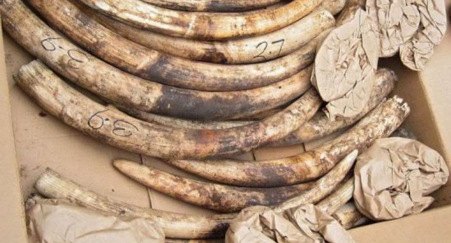 Ivory smuggling has increased sharply since 2007, according to wildlife trade monitoring network TRAFFIC.  By  AFPFile