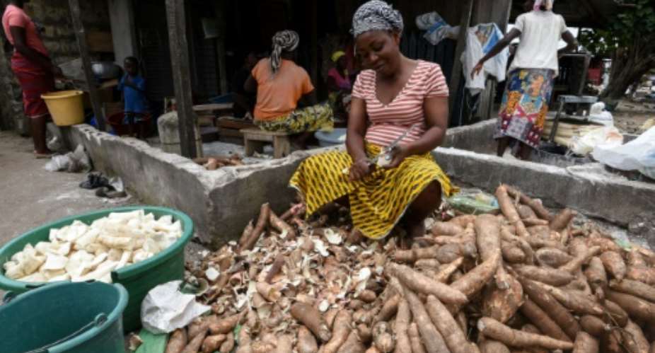 Manioc, also called cassava, is a staple food across West Africa -- the brown root vegetable is peeled, pulped and cooked, providing starchy ballast to a meal.  By Sia KAMBOU AFP