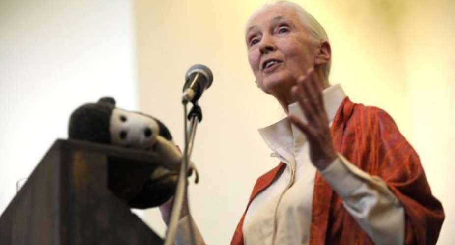 British primatologist Jane Goodall delivers a speech at the National Museum on January 26, 2013 in Nairobi.  By Tony Karumba AFP