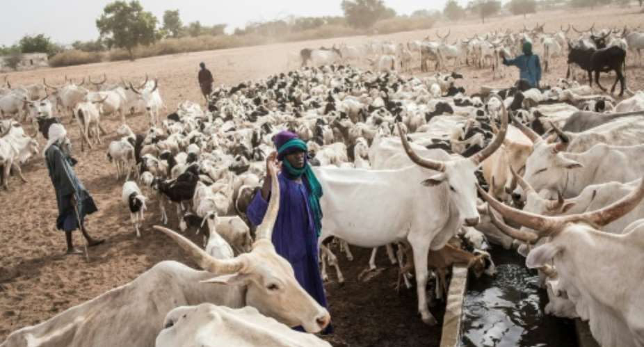 Many Fulani in Louga have turned to the so-called Dolly Ranch as a last resort.  By JOHN WESSELS AFP