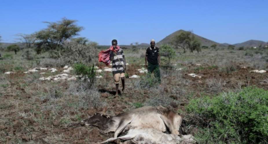 Marsabit has been the scene of a prolonged drought.  By Tony KARUMBA AFPFile