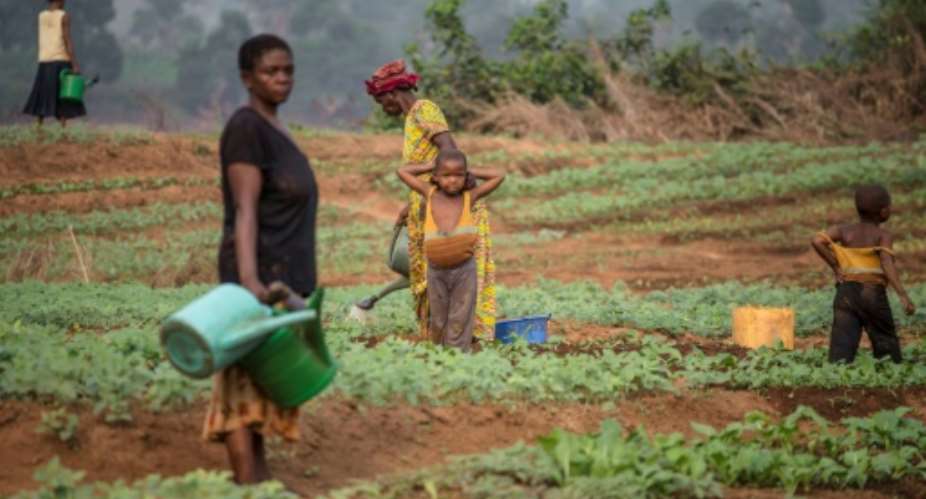 Months of conflict in the Kasai region of the Democratic Republic of Congo have left many villagers unable to plant their crops.  By Junior D. KANNAH AFPFile