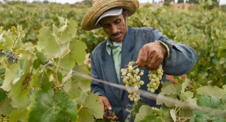 Morocco has been recognised as north Africas most competitive economy by the World Economic Forum.  By FADEL SENNA (AFP/File)