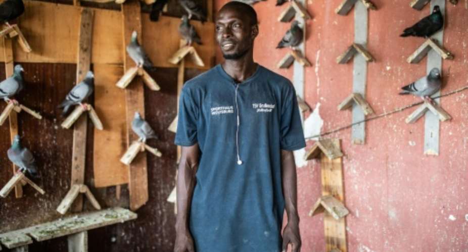 Moustapha Gueye exercises his pigeons each morning. They are athletes so they need to train, he says.  By JOHN WESSELS AFP