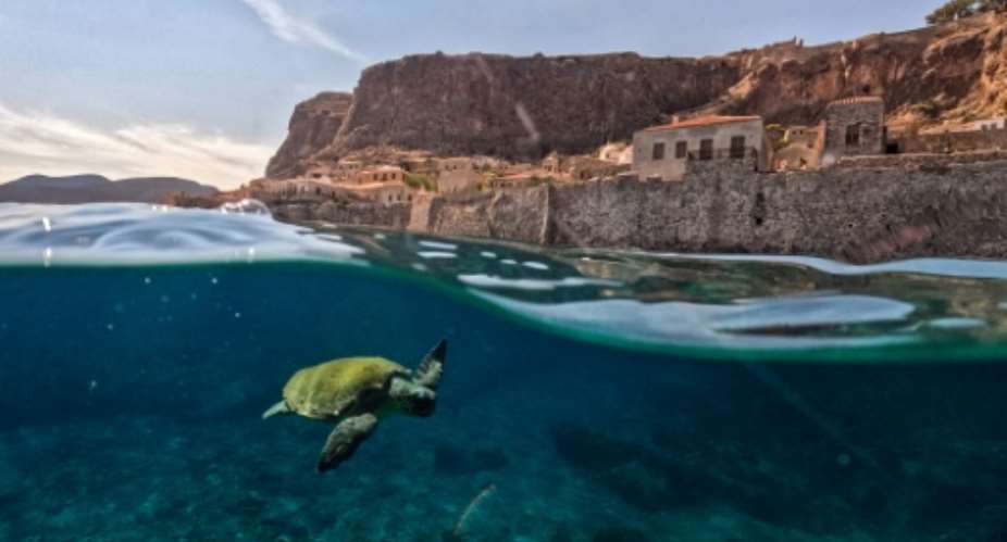 Nations are falling behind on their joint goal to halt the destruction of nature by 2030.  By Will VASSILOPOULOS (AFP)