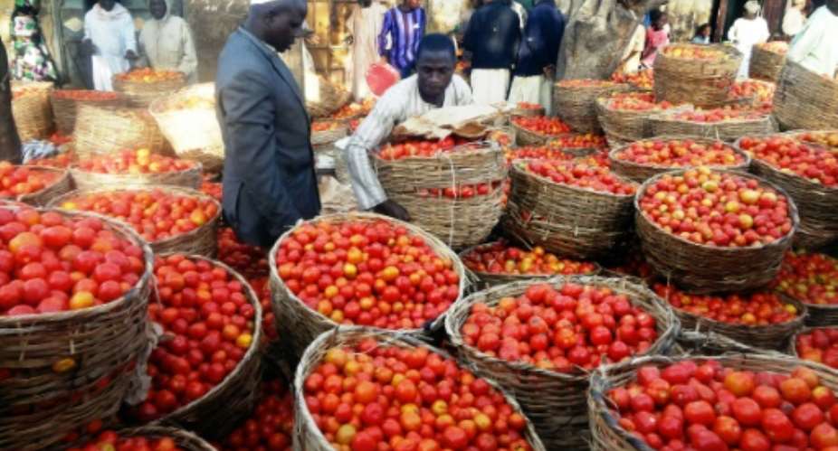 Tomato prices in Nigeria have been steadily climbing for months.  By  AFP