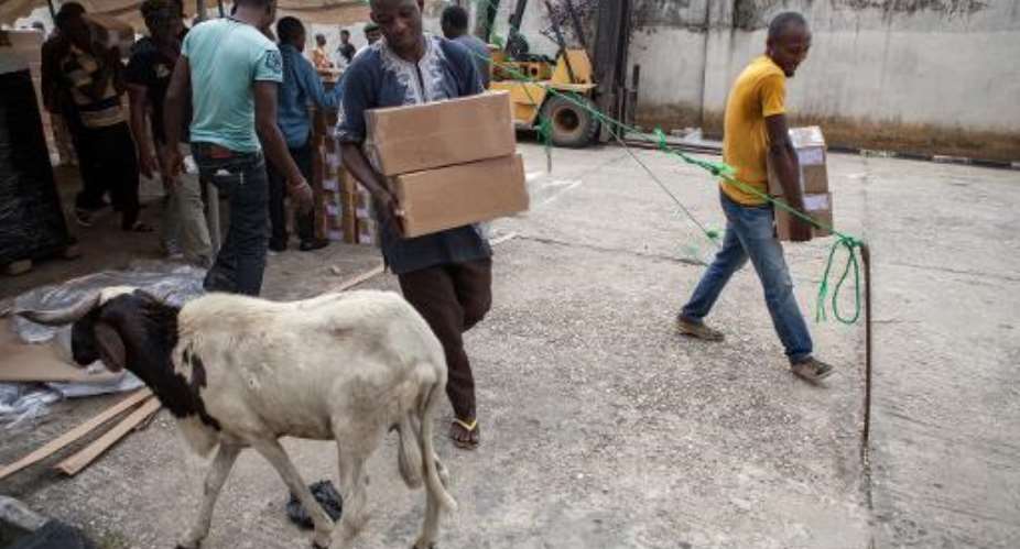 A goat walks past as officials prepare voting materials at the Independent National Electoral Commission offices in Port Harcourt on March 26, 2015, ahead of March 28 presidential elections.  By Florian Plaucheur AFP
