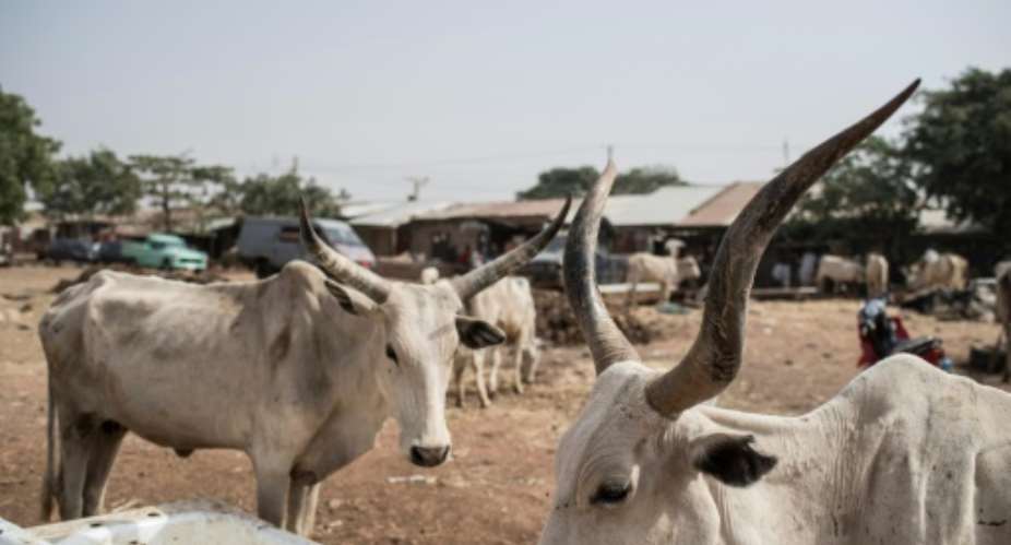 Nigeria's Katsina state has been targeted by kidnappers and cattle thieves in recent months.  By STEFAN HEUNIS AFPFile