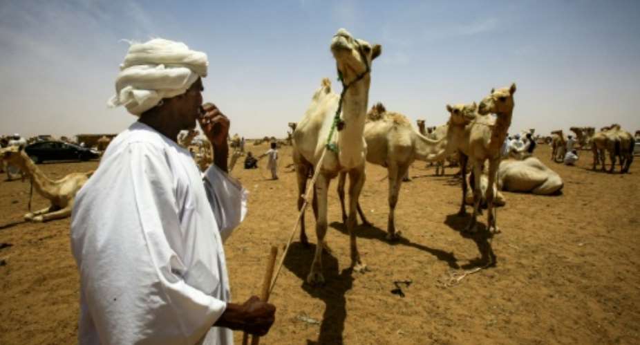 Not far from Sudan's capital Khartoum, dozens of camel traders are oblivious to the country's biggest political upheaval in decades.  By ASHRAF SHAZLY AFP