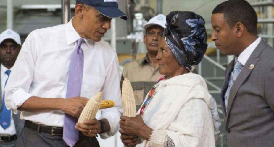 Barack Obama assesses different varieties of corn maize with farmer Gifty Jemal Hussein centre at Faffa Food in Addis Ababa on July 28, 2015.  By Saul Loeb AFP
