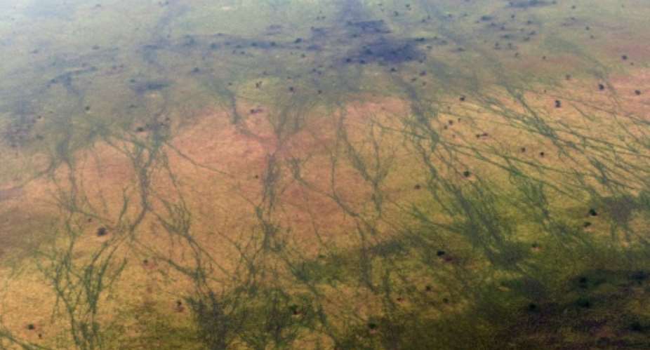 One million animals -- including antelopes -- migrate through the South Sudanese site each year, leaving scars visible from the sky.  By TONY KARUMBA (AFP)