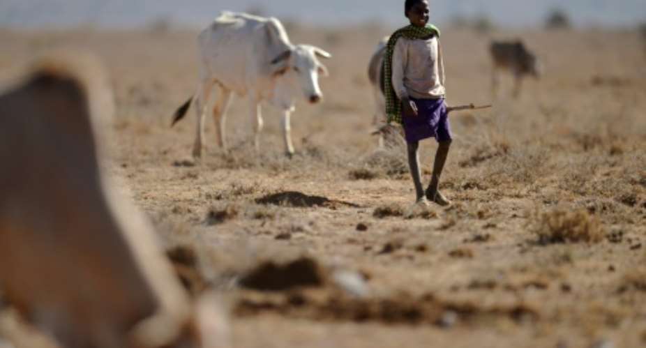 Outbreaks of violence have multiplied in central Kenya between groups of semi-nomadic herders, among the hardest hit by the drought in swathes of east Africa.  By TONY KARUMBA AFPFile