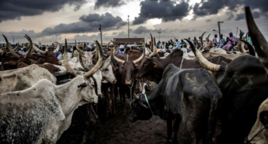 Per-capita beef consumption in Nigeria is expected to rise fourfold within a generation.  By Luis TATO AFP