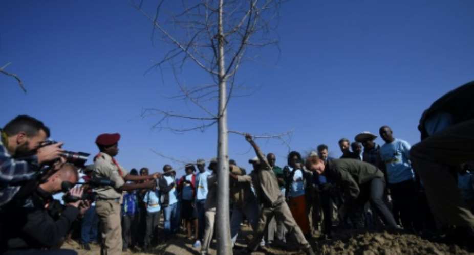 Planting for the future: Prince Harry and Botswanan schoolchildren.  By MONIRUL BHUIYAN AFP
