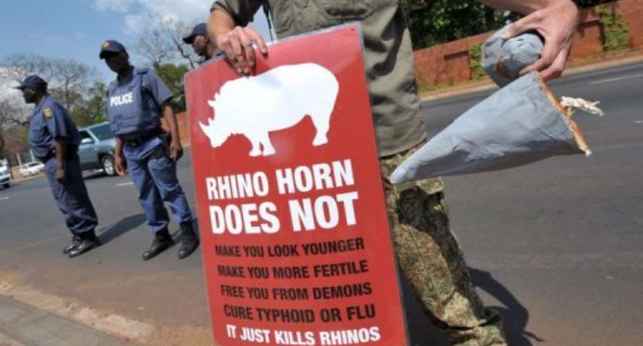 A South African protester holds a sign and a fake rhino horn during a demonstration.  By Alexander Joe AFPFile