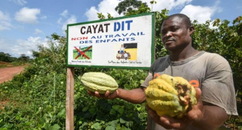 Podcast: A small farmer in Ivory Coast's CAYAT cooperative, which grows fairtrade-certified cocoa. The message on the board reads: CAYAT says no to child labour.  By SIA KAMBOU AFP