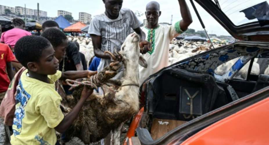 Prices for sheep have shot up in Ivory Coast as animals have been harder to come by.  By Issouf SANOGO (AFP)