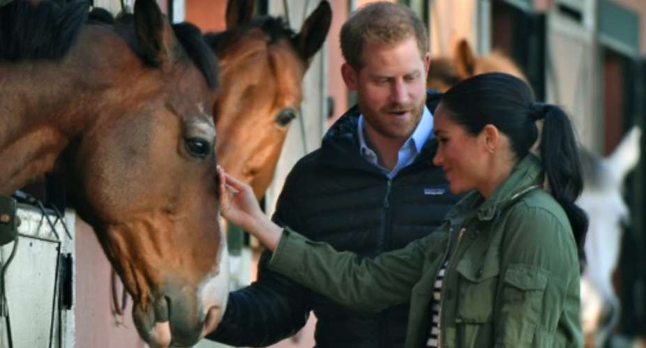 Prince Harry and his wife Meghan petted the horses which are providing a source of therapy for young people with disabilities.  By FADEL SENNA AFP