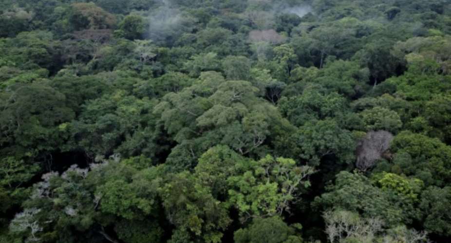 Researchers say the Congo Basin's rainforest sequesters more greenhouse gases than it emits.  By Guerchom Ndebo AFP