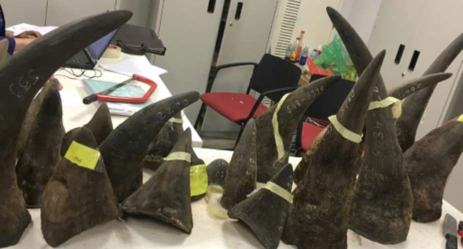 Rhino horn is in great demand in Asia where it is used in traditional medicine. Pictured are seized smuggled rhino horn in Hanoi.  By STR AFPFile