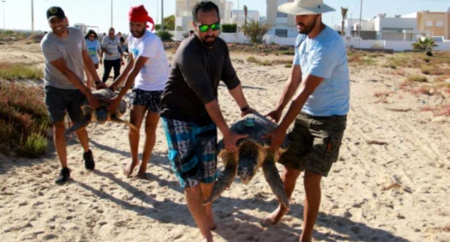 Scientists carry a sea turtle before releasing them into the sea on May 21, 2022, in the Tunisian coastal city of Sfax.  By HOUSSEM ZOUARI AFP