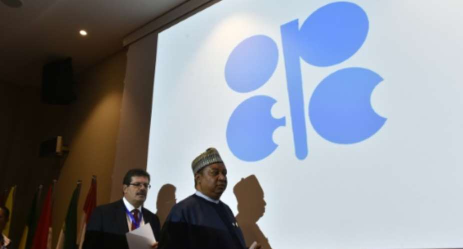 Oil price rally slows on doubts over OPEC output deal