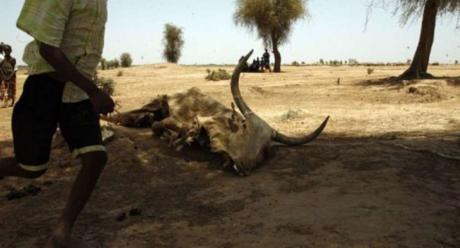 Crops have failed across eight countries after late and erratic rains in 2011.  By Mamadou Toure Behan (AFP/File)