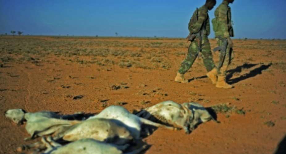 Servicemen walk past a flock of dead goats in a dry area in northeastern Somalia, on December 15, 2016 where drought has severely affected livestock.  By Mohamed Abdiwahab AFPFile